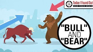 Why are Bull and Bear Markets Called That [upl. by Crowns]