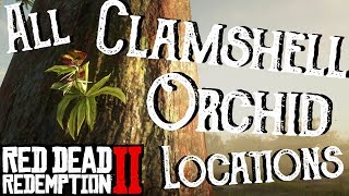 Red Dead Redemption 2  All 10 Clamshell Orchid Locations Duchesses and Other Animals Exotics RDR2 [upl. by Elbas439]