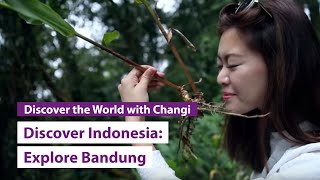 Discover Indonesia Explore Bandung with The Smart Local [upl. by Robet]