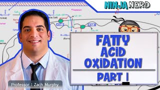 Metabolism  Fatty Acid Oxidation Part 1 [upl. by Nicholas]