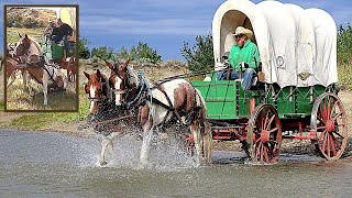 🐎 Rookie Horses TAKE OFF with Covered Wagon 😱  Old West Horse amp Covered Wagon on MT Wagon Train [upl. by Martie]