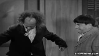 The Three Stooges  Disorder in the Court 1936  Larry Loses It [upl. by Fransen]