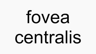 How to pronounce fovea centralis [upl. by Tab]