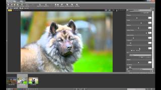 Nikon View NX2 software basics tutorial [upl. by Lihas]