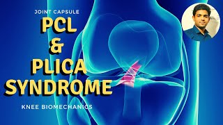 POSTERIOR CRUCIATE LIGAMENT amp Plica syndrome Knee Biomechanics [upl. by Eniawd]