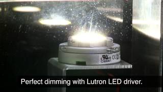 Lutron LED drivers – Guaranteed dimming performance [upl. by Anedal542]