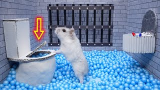 🐹 Hamster Escape Turtle Prison Maze 🐹 [upl. by Stoneham804]