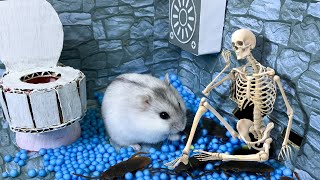 🐹 Hamster escapes jail Creative maze for Pets in real life 🐹 in Hamster stories Part 3 [upl. by Campball291]