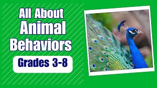 Animal Behavior  More Real World Science on Harmony Square [upl. by Nivla517]