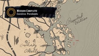 Carolina Parakeet Locations RDR2 Mission Guide [upl. by Ledua]