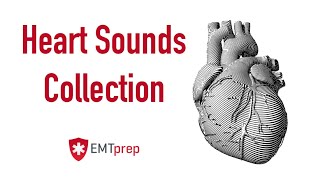 Heart Sounds Collection  EMTprepcom [upl. by Lleira142]