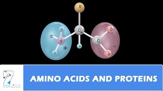 AMINO ACIDS AND PROTEINS [upl. by Janifer]