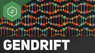 Gendrift  Flaschenhalseffekt Gründereffekt – Evolutionsfaktoren 2 [upl. by Kistner]