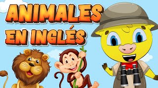 Inglés para Niños  Animales en inglés  Aprender Inglés [upl. by Reyam183]