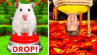 Hamster Maze vs Human Traps 🐹 World’s Most Extreme Elimination Game Last To Survive Minecraft Wins [upl. by Abdul15]