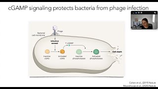 Sensing DNA as a danger signal through the cGASSTING pathway by Dr Andrea Ablasser [upl. by Ayadahs]