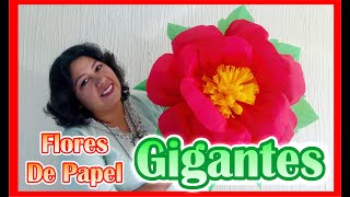 DIY  Como Hacer Flores De Papel Crepe  GIGANTES [upl. by Ralli761]