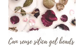 Can you reuse SILICA gel beads after drying Flowers [upl. by Eitsym]