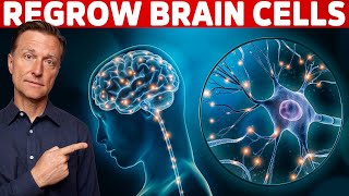 Renew amp Protect Your Brain Cells  Brain Derived Neurotrophic Factor – Dr Berg [upl. by Tarrel]