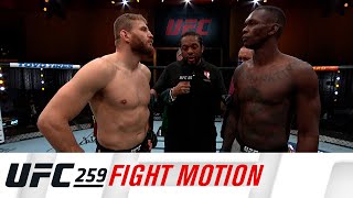 UFC 259 Fight Motion [upl. by Margy]