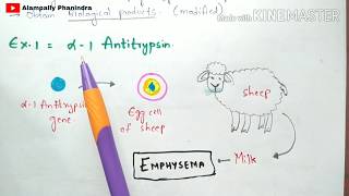 Animal Transgenesis  Transgenic animals  Process  Examples  Bio science [upl. by Shelden754]