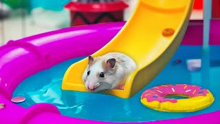 🐹 Hamster Escapes the MEGA AQUAPARK MAZE OBSTACLE COURSE [upl. by Nytsirc]