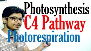 C4 pathway Photosynthesis and photorespiration [upl. by Laban862]