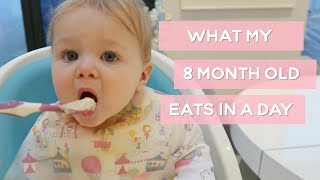 WHAT MY 8 MONTH BABY EATS IN A DAY amp ROUTINE [upl. by Timothy]