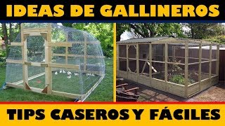 Las Mejores Ideas para hacer Gallineros  Tips Caseros [upl. by Elleval151]