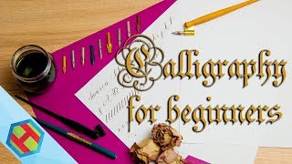 Calligraphy for complete beginners  how to get started [upl. by Hans]