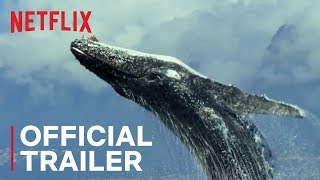 Our Planet  Official Trailer HD  Netflix [upl. by Till]