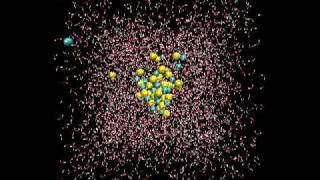 Dissolution of Sodium Chloride  NaCl  in water [upl. by Ahseer]