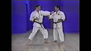 Goju ryu kata Saifa Bunkai variations [upl. by Bogosian]