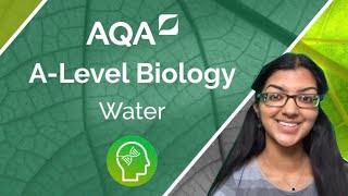 AQA A Level Biology Water [upl. by Ettenan]