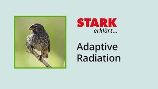 Adaptive Radiation  STARK erklärt [upl. by Aznecniv]