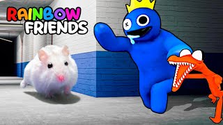 Hamster Adventures In Rainbow Friends Maze In Real Life OBSTACLE COURSE [upl. by Gavra]