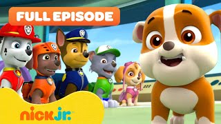 Rubble Joins the PAW Patrol and the Pups Save a Walrus  FULL EPISODES  Nick Jr [upl. by Cnahc]