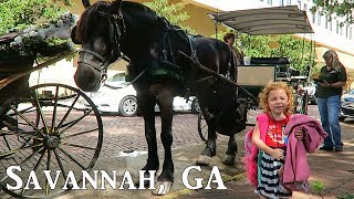 Carriage Ride Through Downtown Savannah GA [upl. by Enavi]