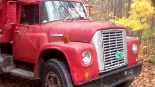 1973 International Loadstar 1700 dump truck [upl. by Airtened]