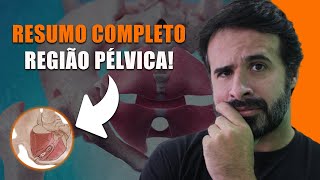 RESUMO COMPLETO APRENDA TUDO SOBRE A REGIÃO PÉLVICA [upl. by Swenson]