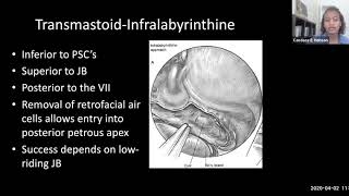 Petrous Apex Lesions  Dr Candace Hobson [upl. by Strong]