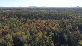 Forestry for the Future Lessons in Sustainable Management from Maine [upl. by Shewchuk901]