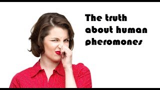 The truth about human pheromones [upl. by Beverie494]