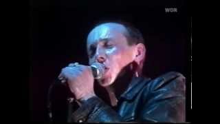 Magazine  Live at Rockpalast 1980 [upl. by Daphie154]