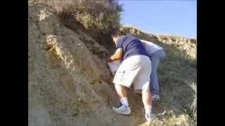 Fossil Hunting  Near Coalinga California [upl. by Eiuqcaj]