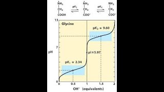 Amino Acid Titration Curve Part 1 [upl. by Doggett562]