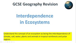 Interdependence in ecosystems [upl. by Enilram]