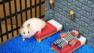 Hamster Escapes from the Minecraft Prison Maze [upl. by Arracat]