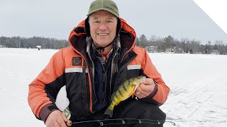 Ice fishing for perch on Cooks Bay Lake Simcoe [upl. by Lalitta497]