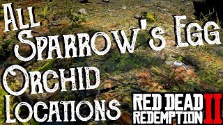 Red Dead Redemption 2  All 25 Sparrows Egg Orchid Locations Duchesses and Other Animals Exotics [upl. by Anauj]